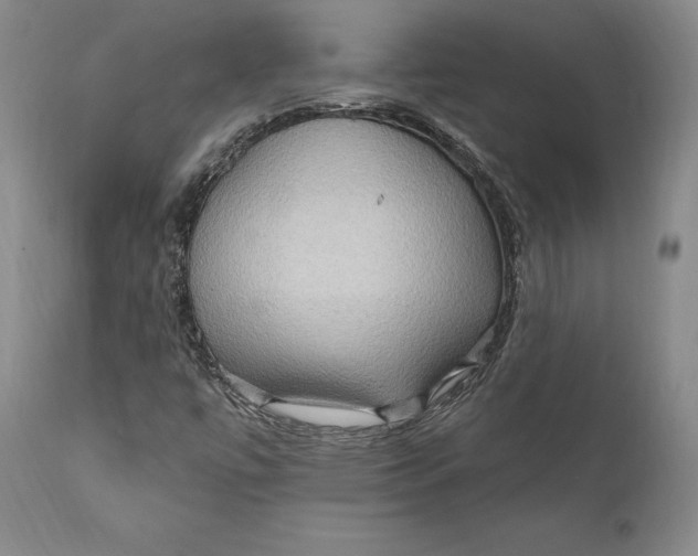 X0000111021447200907101329