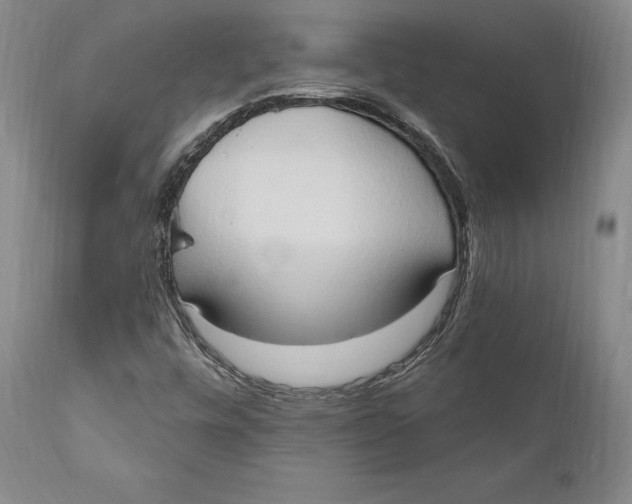 X0000111021448200907101329