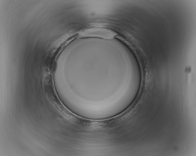 X0000111021449200907101329