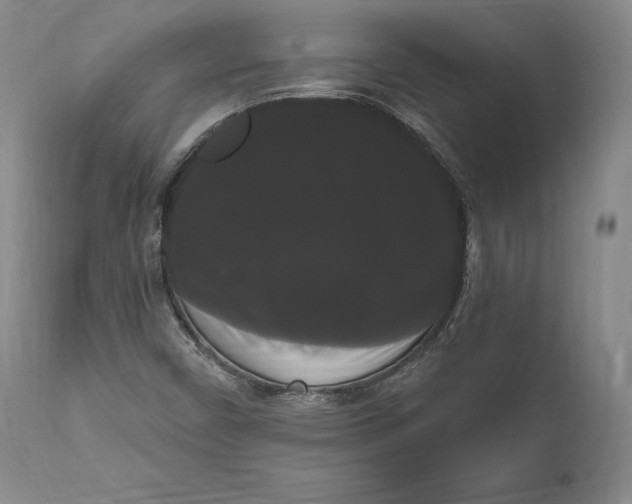 X0000111021450200907101329