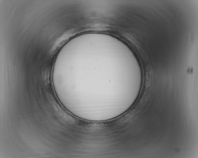 X0000111021451200907101329