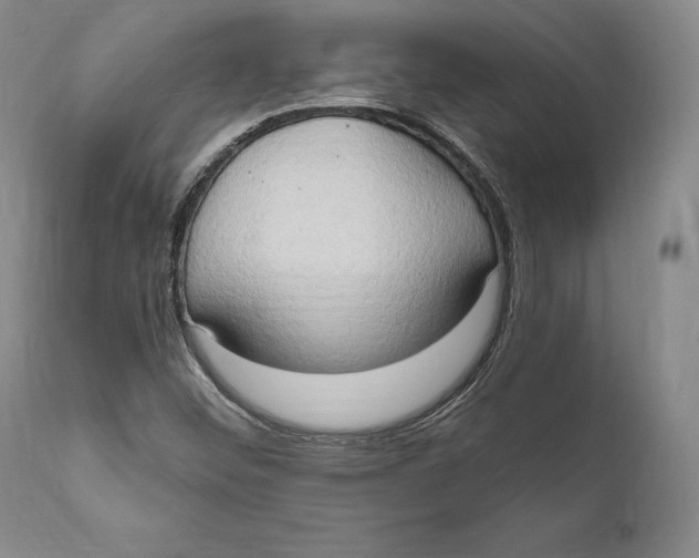 X0000111021452200907101329