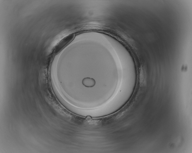 X0000111021453200907101329