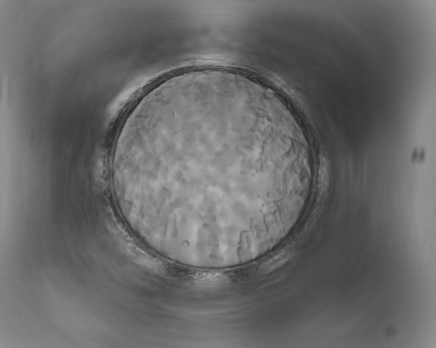 X0000111021454200907101329