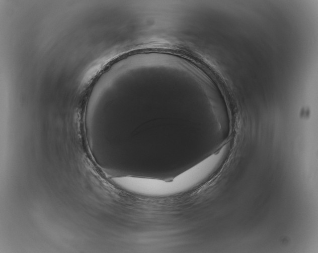 X0000111021455200907101329