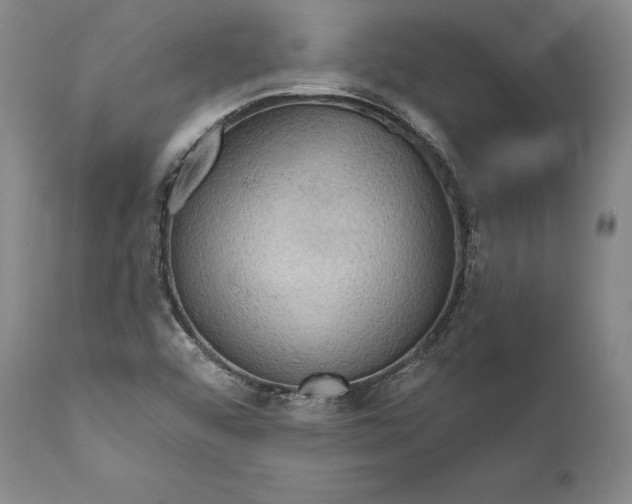 X0000111021456200907101329