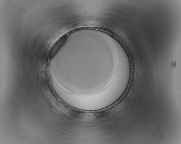 X0000111021457200907101329