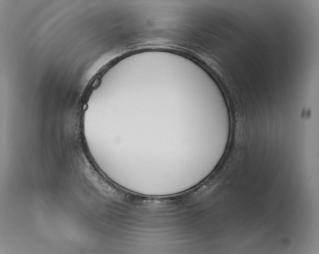 X0000111021458200907101329
