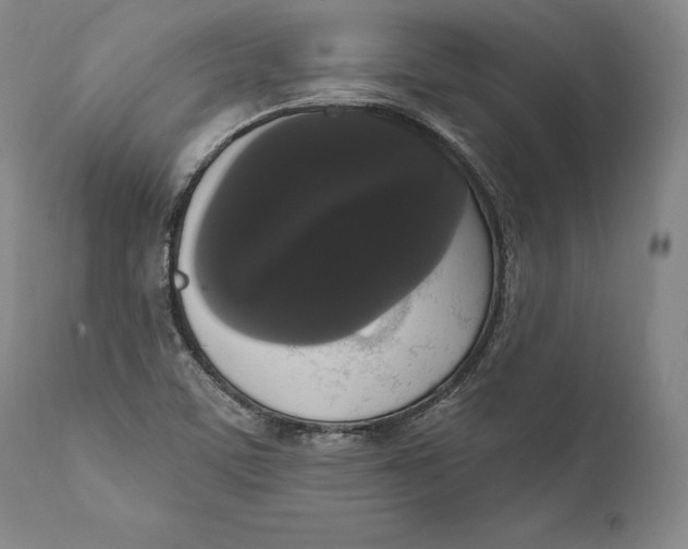 X0000111021459200907101329