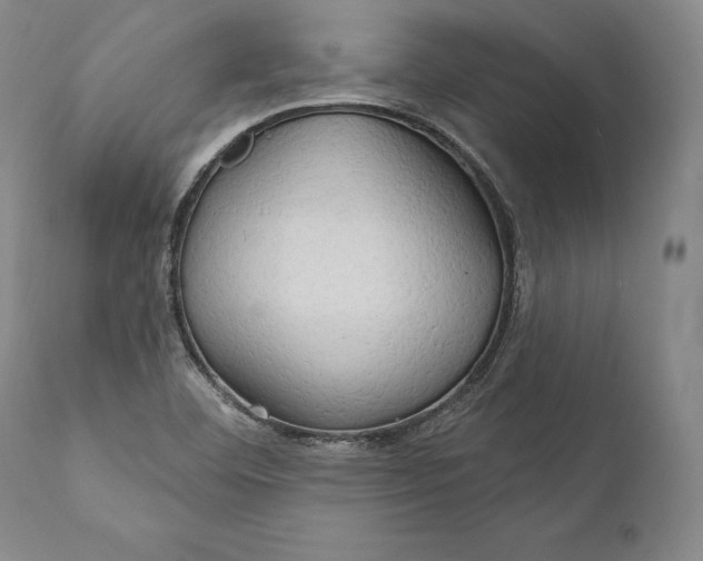 X0000111021460200907101329