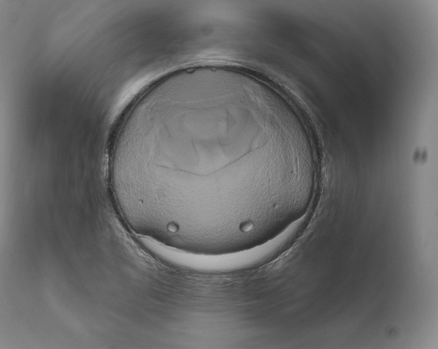 X0000111021461200907101329