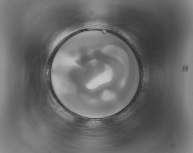 X0000111021462200907101329