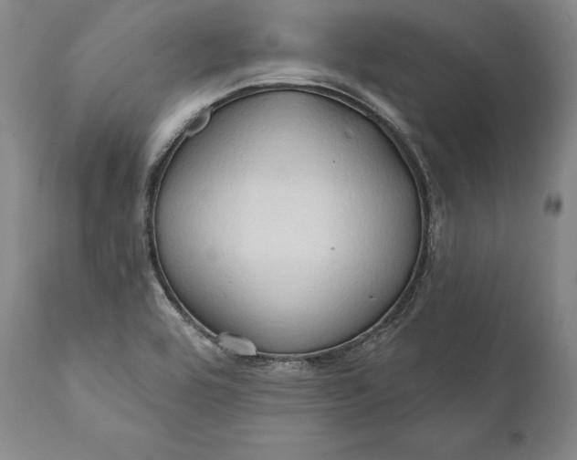 X0000111021464200907101329