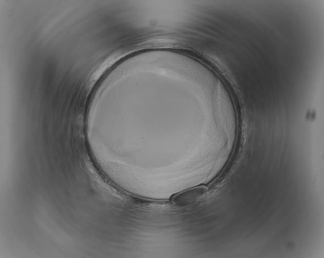 X0000111021465200907101328