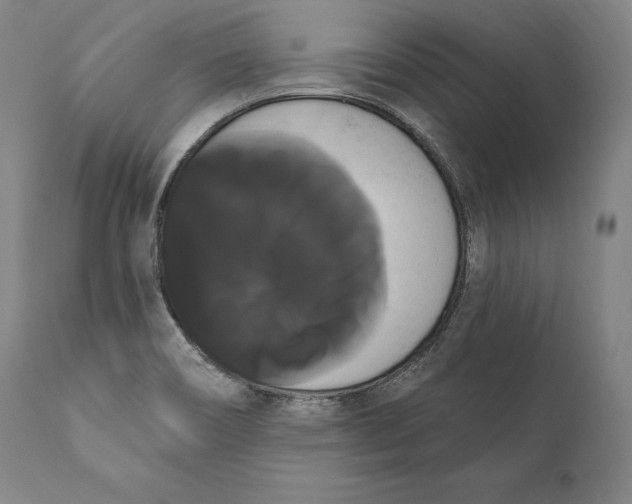X0000111021466200907101328