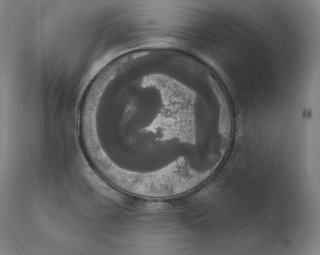 X0000111021467200907101328