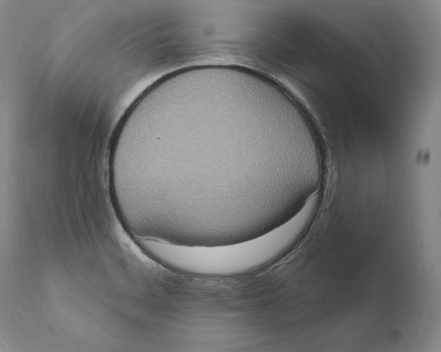 X0000111021468200907101328