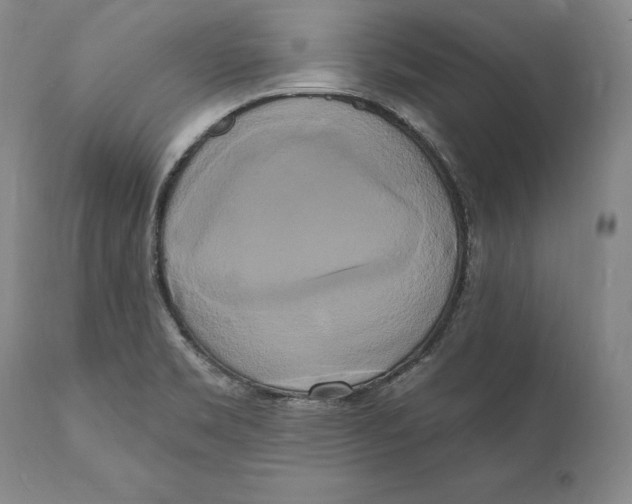 X0000111021469200907101328