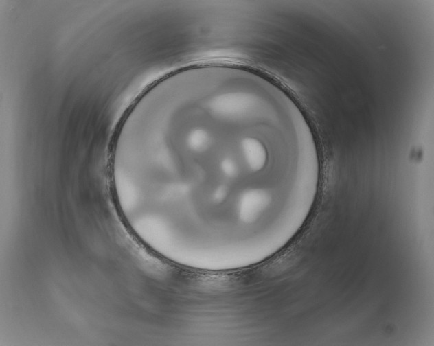 X0000111021470200907101328