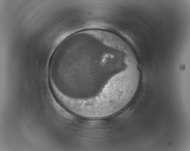 X0000111021471200907101328