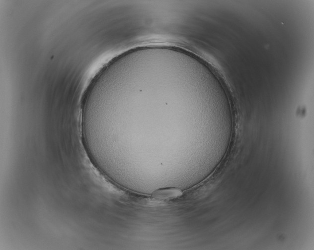 X0000111021472200907101328