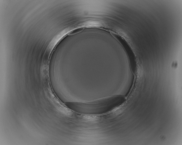 X0000111021473200907101328