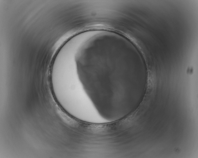 X0000111021474200907101328