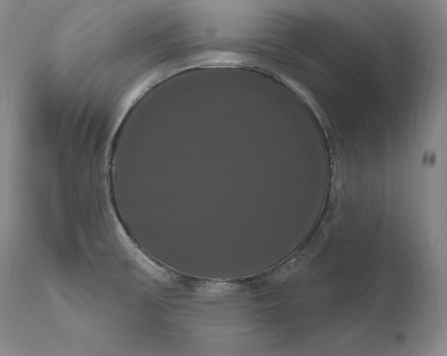 X0000111021475200907101328
