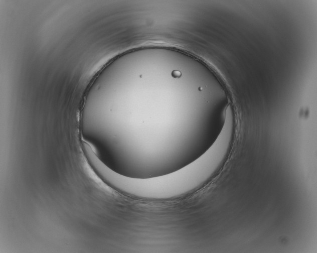 X0000111021476200907101328