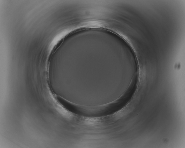 X0000111021477200907101328