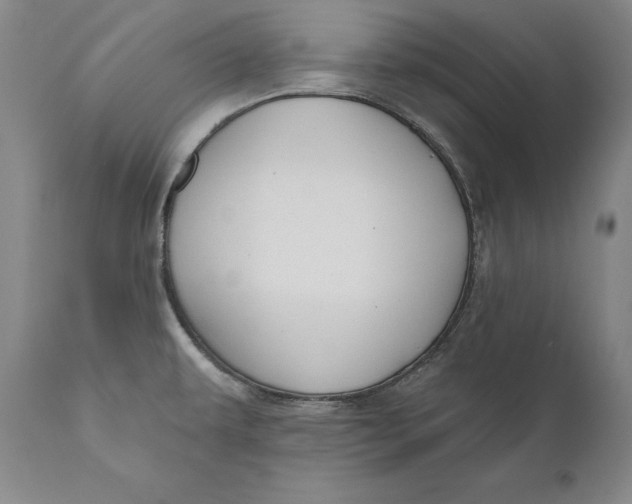 X0000111021479200907101328