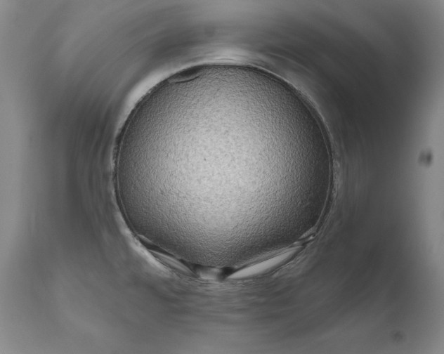 X0000111021480200907101328
