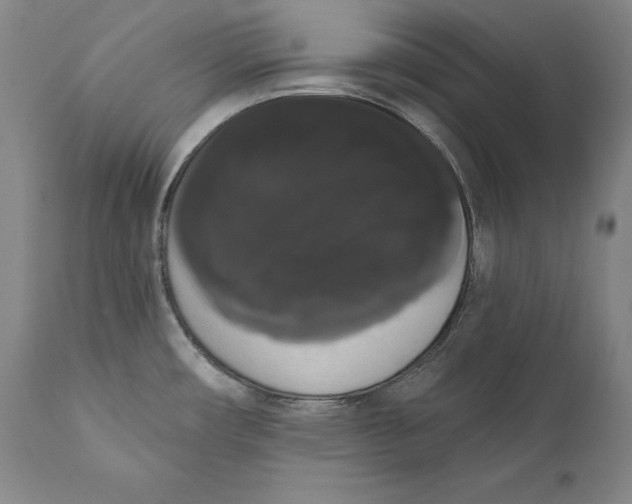 X0000111021482200907101328