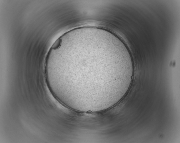 X0000111021483200907101328