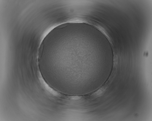 X0000111021484200907101328