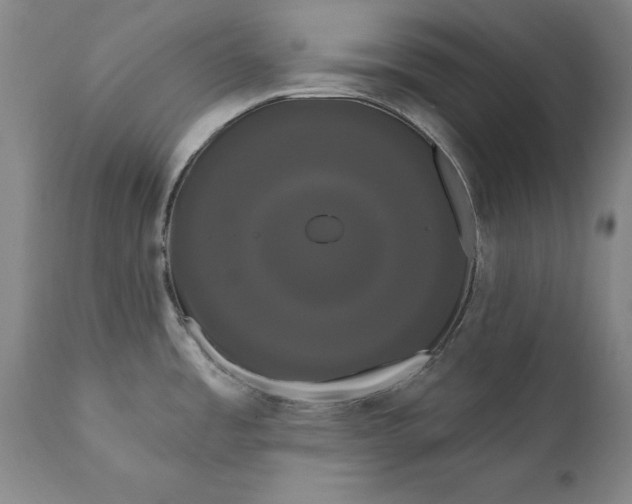 X0000111021485200907101328