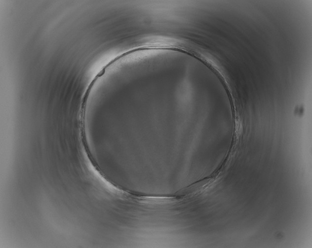 X0000111021487200907101328