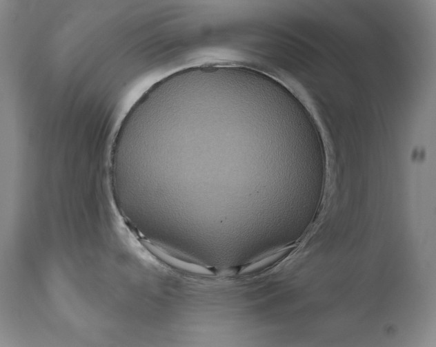 X0000111021488200907101328
