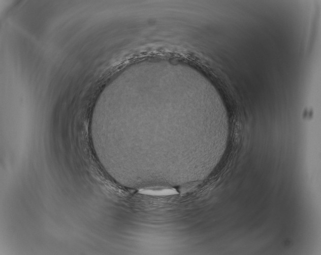 X0000111021489200907101327
