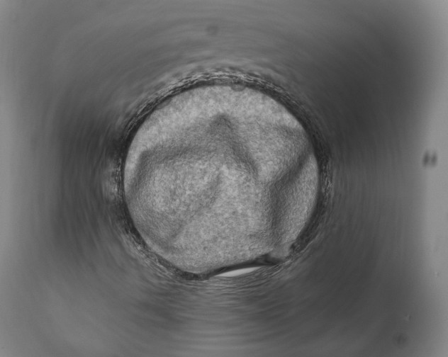 X0000111021490200907101327