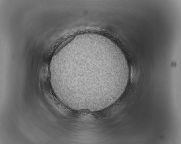 X0000111021492200907101327