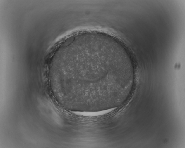 X0000111021494200907101327