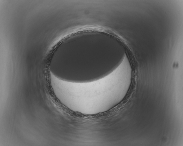 X0000111021496200907101327