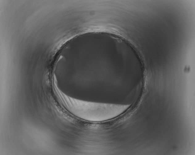 X0000111021497200907101327