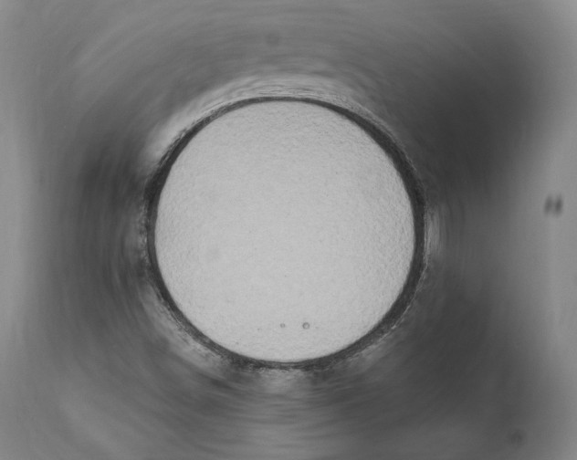 X0000111021498200907101327