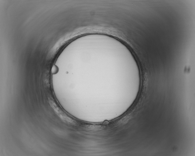 X0000111021499200907101327