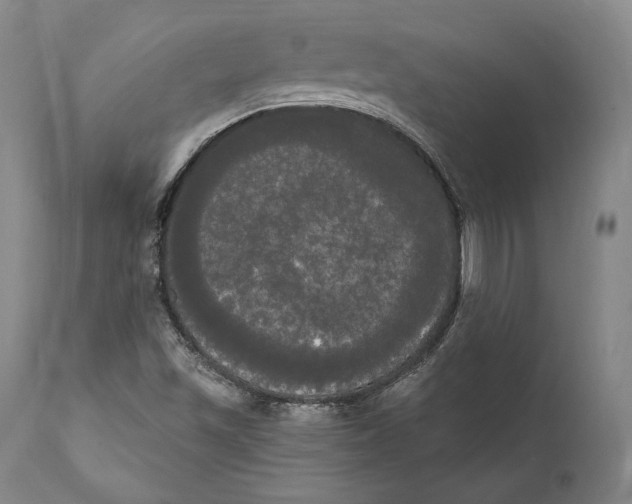 X0000111021501200907101327