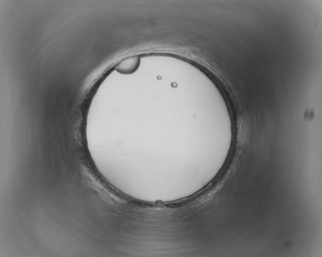 X0000111021502200907101327