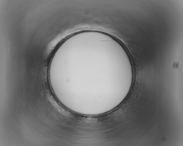 X0000111021503200907101327