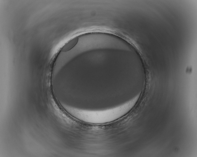X0000111021504200907101327